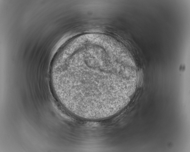 X0000113960195200911061333