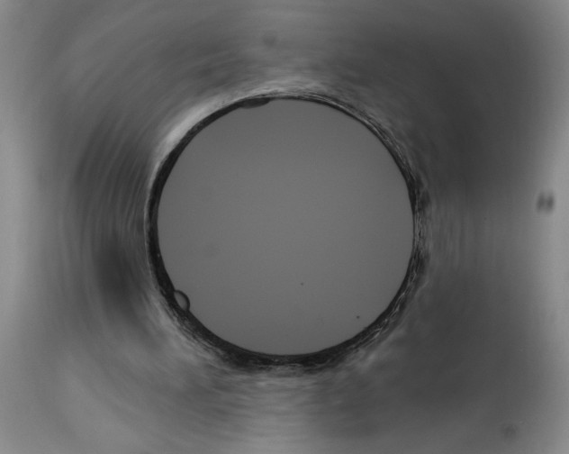 X0000113960196200911061333