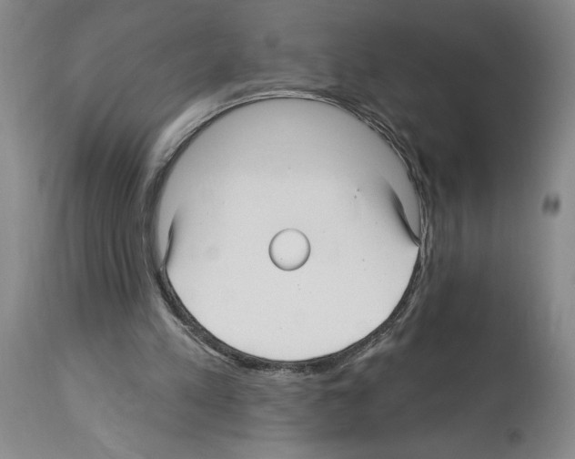 X0000113960197200911061333
