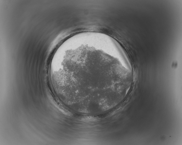 X0000113960198200911061333