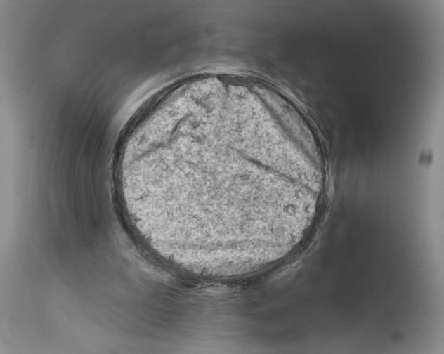 X0000113960199200911061333