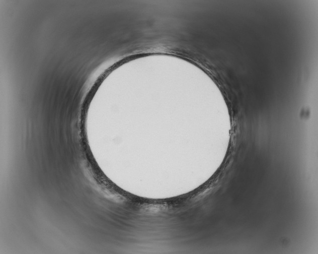 X0000113960200200911061333