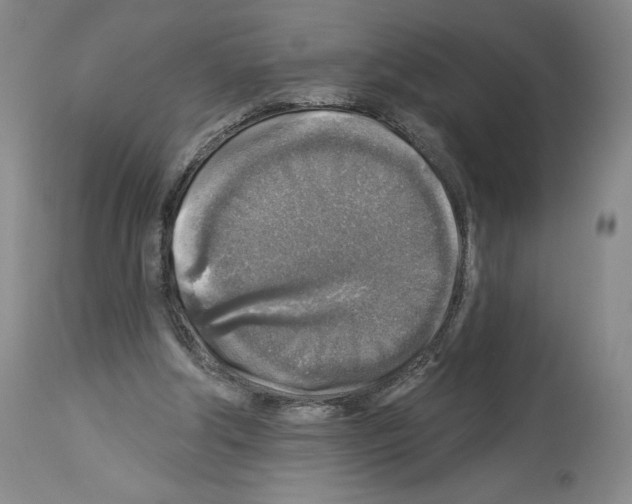 X0000113960202200911061333