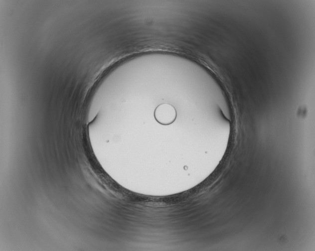 X0000113960203200911061333