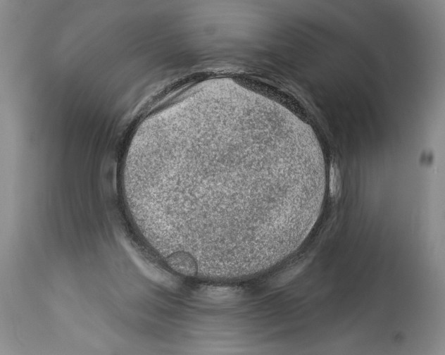 X0000113960205200911061333