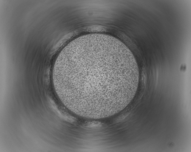 X0000113960206200911061333