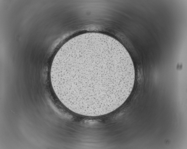 X0000113960208200911061332