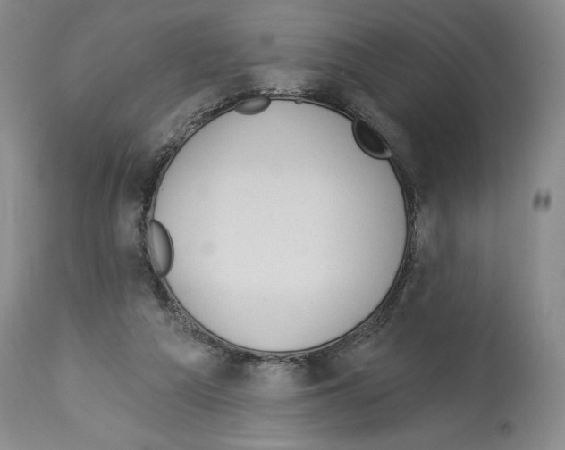 X0000113960209200911061332