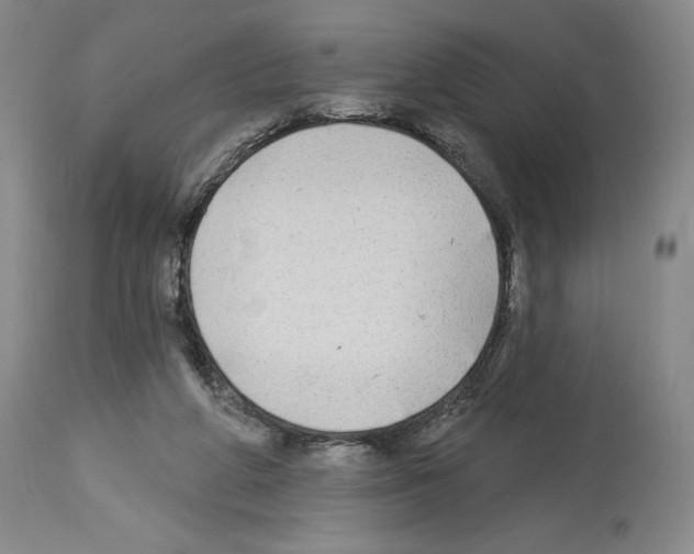 X0000113960210200911061332