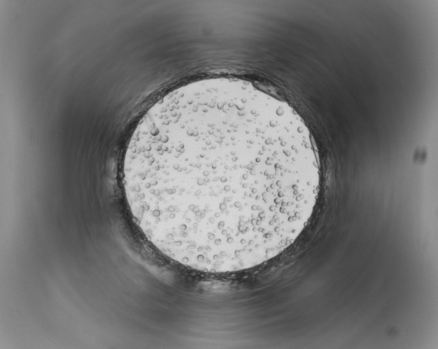 X0000113960211200911061332