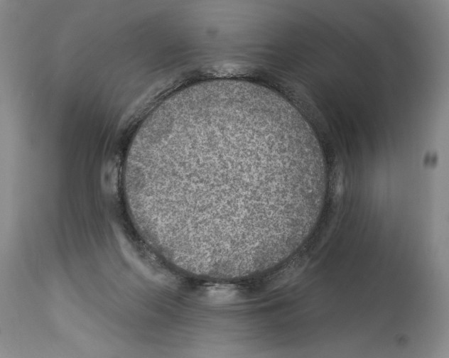 X0000113960214200911061332