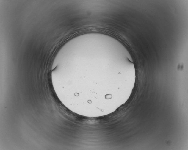 X0000113960217200911061332