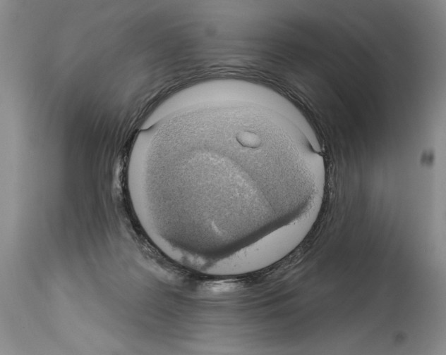 X0000113960219200911061332