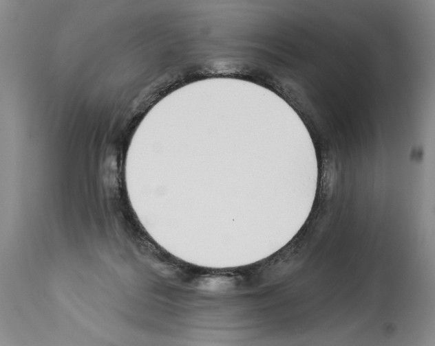 X0000113960220200911061332