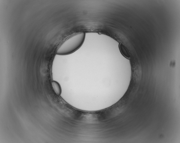 X0000113960221200911061332