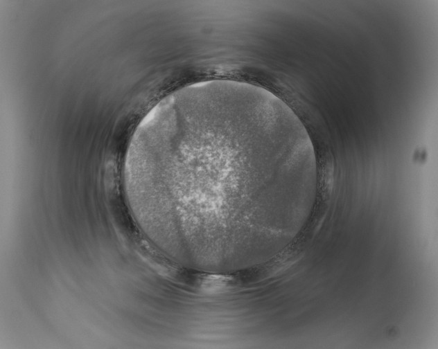 X0000113960222200911061332