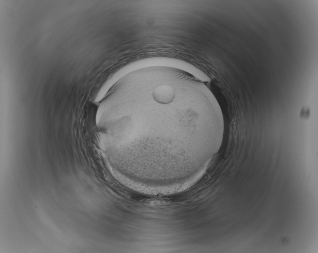 X0000113960223200911061332
