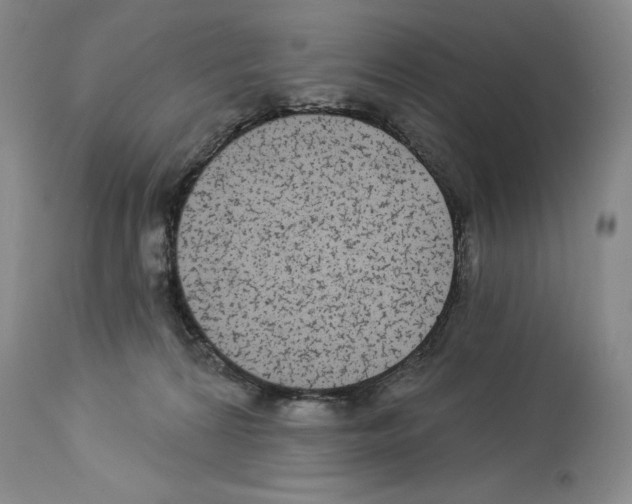 X0000113960224200911061332