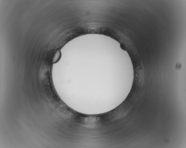 X0000113960225200911061332