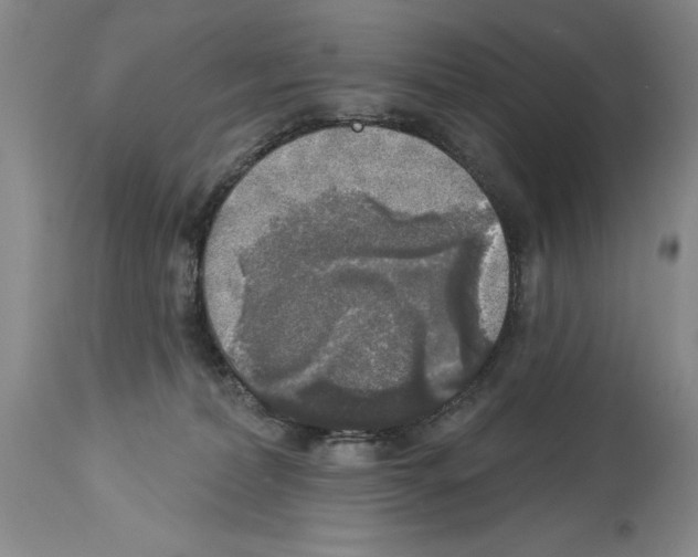 X0000113960228200911061332