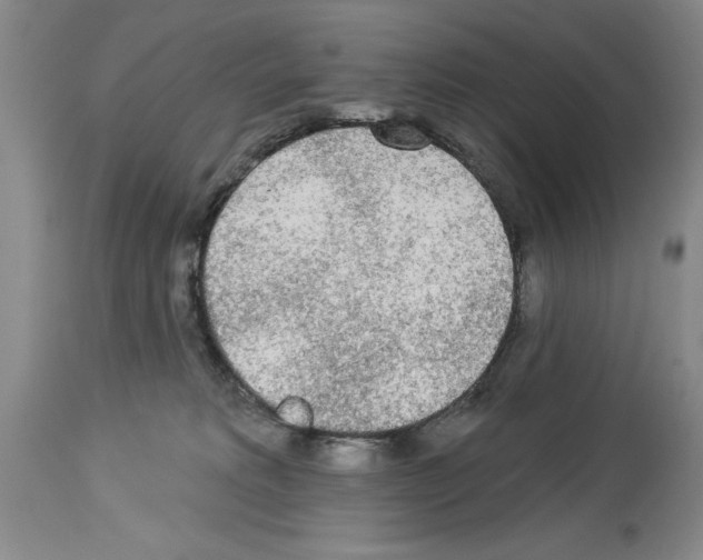 X0000113960229200911061332
