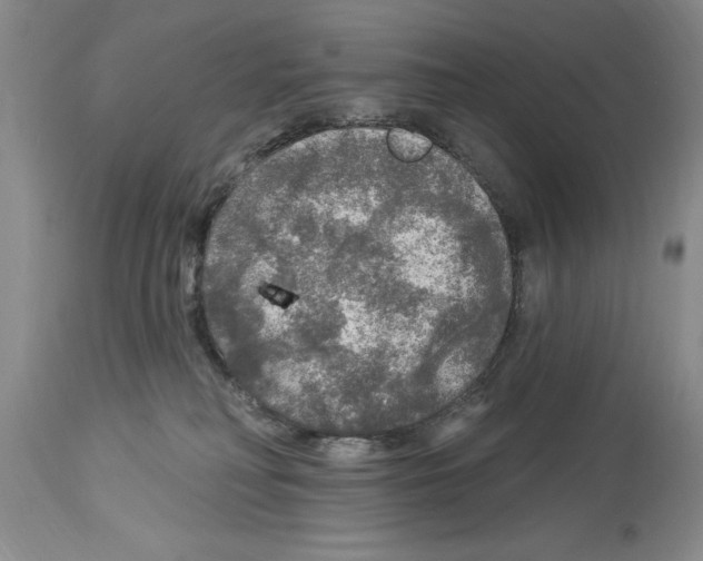 X0000113960230200911061332