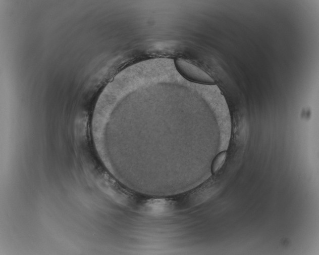 X0000113960231200911061332