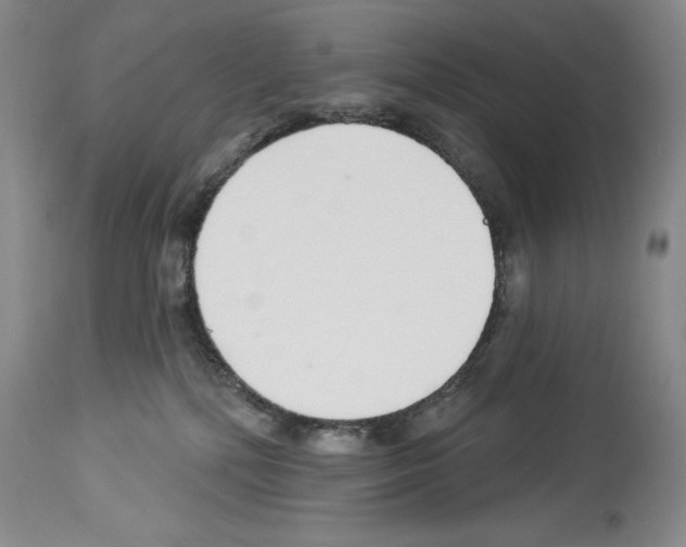 X0000113960232200911061332