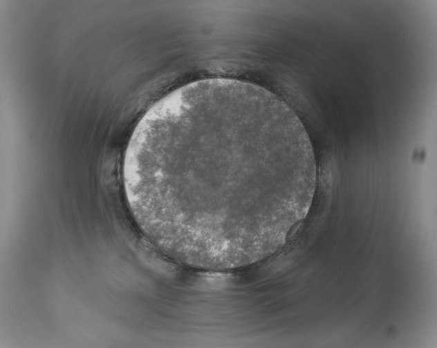 X0000113960233200911061332