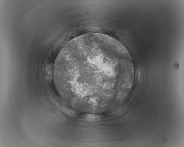 X0000113960234200911061332
