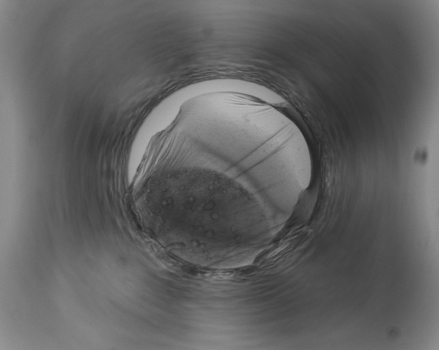 X0000113960235200911061332