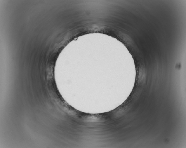 X0000113960236200911061332