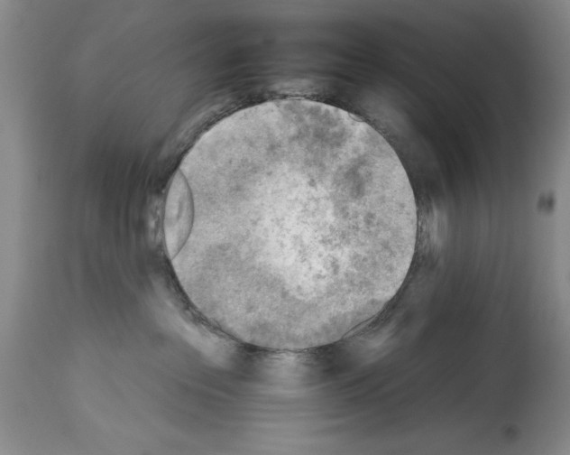 X0000113960237200911061332