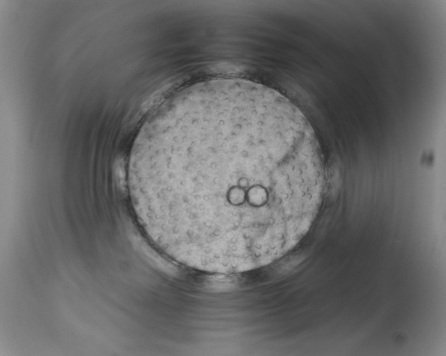 X0000113960238200911061332