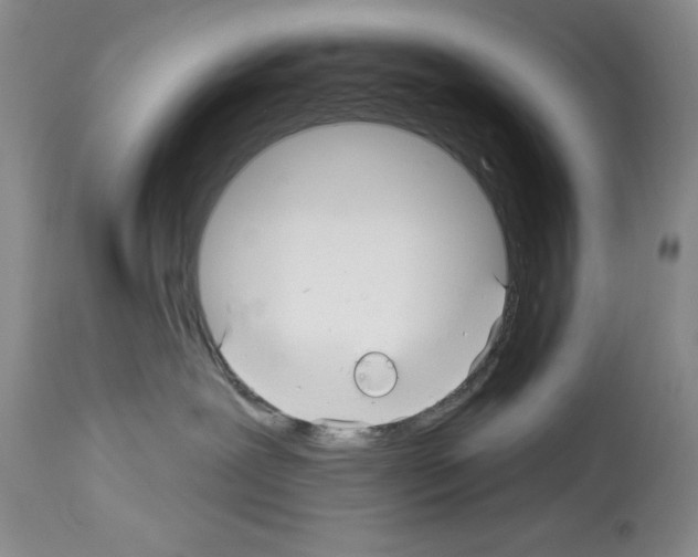 X0000113960239200911061332