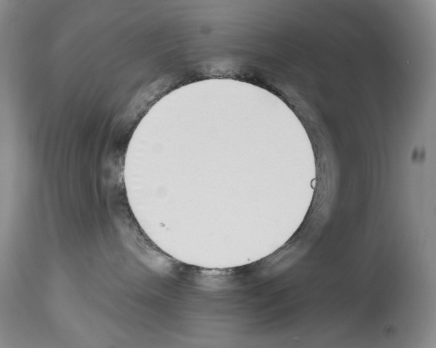 X0000113960240200911061332