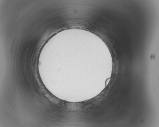 X0000113960241200911061331