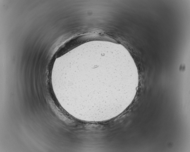 X0000113960242200911061331