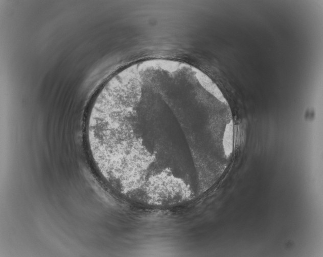 X0000113960243200911061331