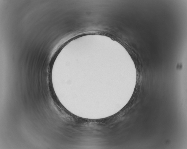 X0000113960244200911061331