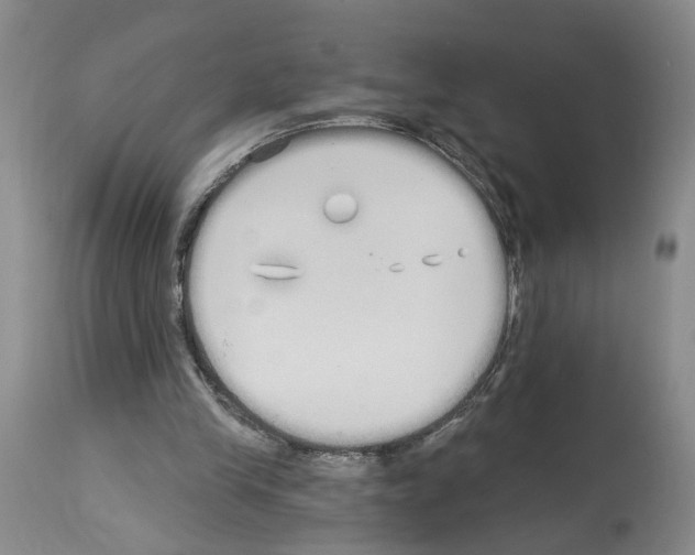 X0000113960245200911061331