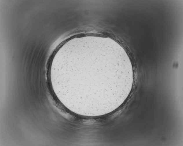 X0000113960246200911061331