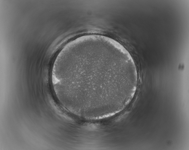 X0000113960247200911061331