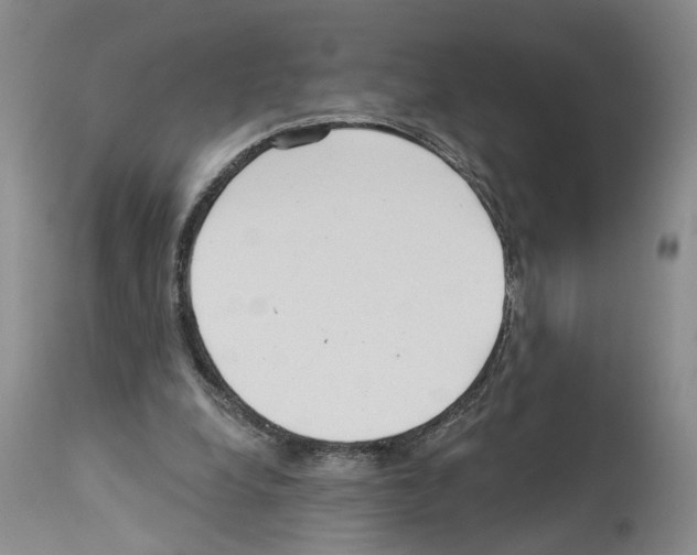 X0000113960248200911061331
