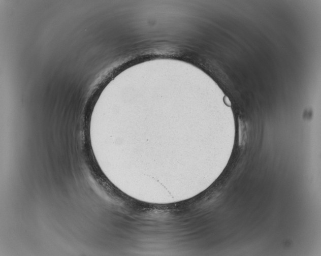 X0000113960252200911061332