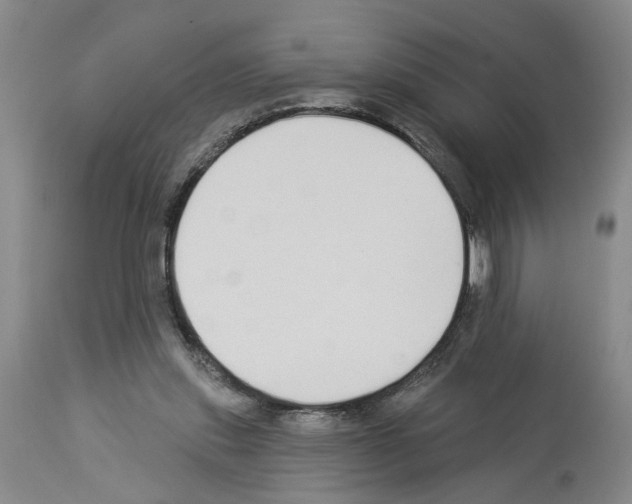 X0000113960253200911061332