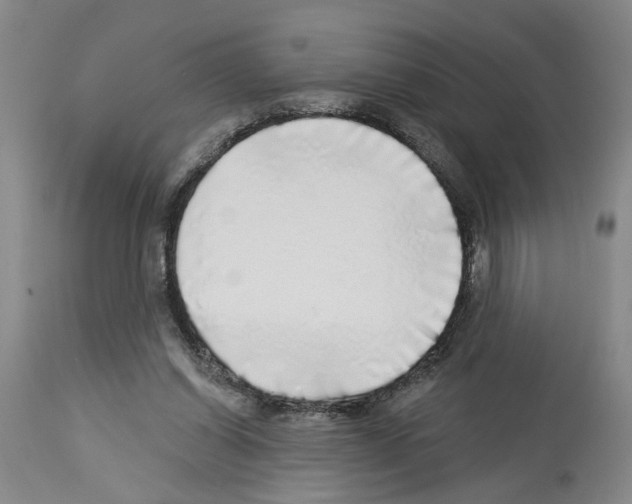 X0000113960254200911061332