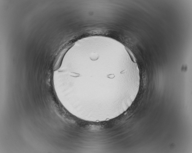 X0000113960255200911061332