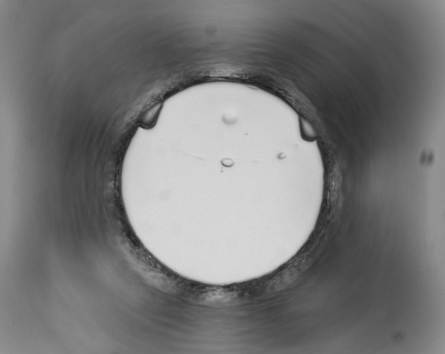 X0000113960257200911061332