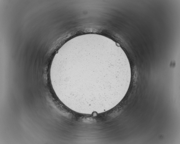 X0000113960258200911061332